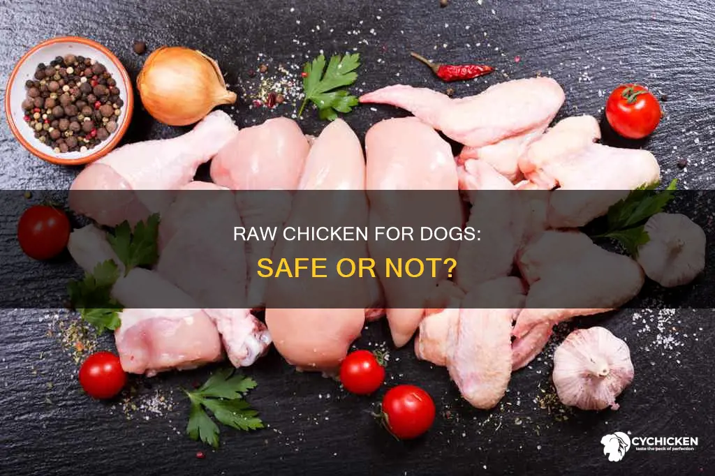 is it ok to give a dog raw chicken