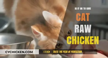 Raw Chicken for Cats: Safe or Risky Feeding Practice?