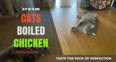 Can Cats Eat Boiled Chicken? A Safe Feeding Guide