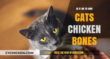 Are Chicken Bones Safe for Cats? Risks and Alternatives Explained