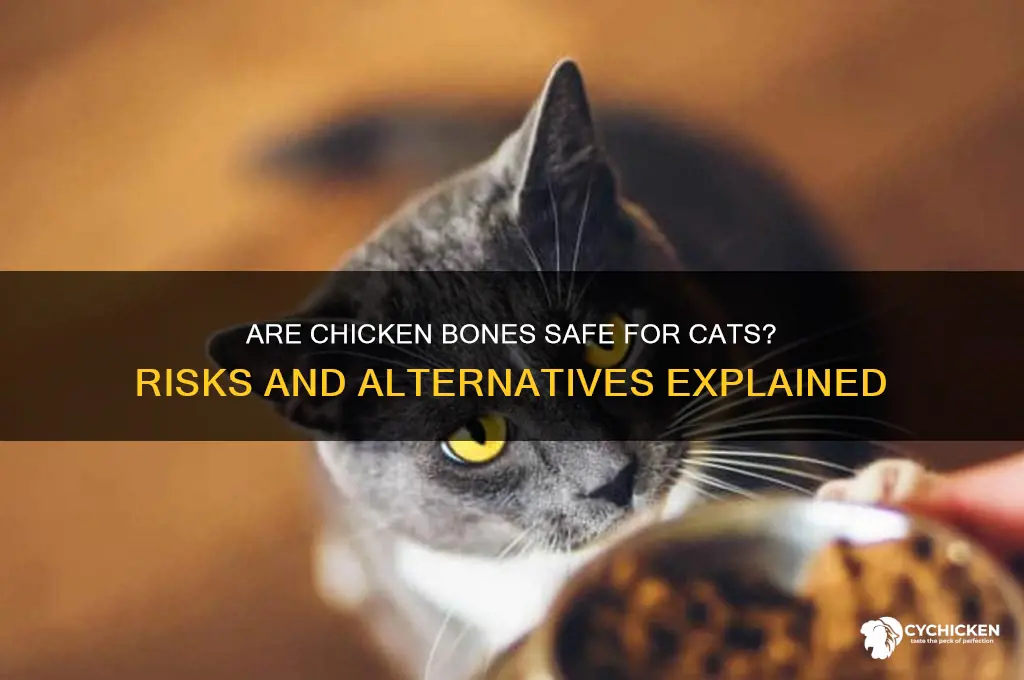 is it ok to give cats chicken bones