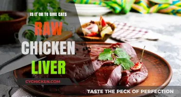 Raw Chicken Liver for Cats: Safe Treat or Health Risk?