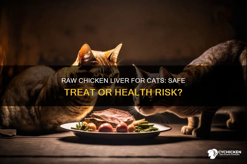 is it ok to give cats raw chicken liver