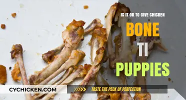 Puppies and Chicken Bones: A Dangerous Mix