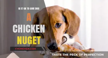 Chicken Nuggets: Safe Treats for Your Dog?