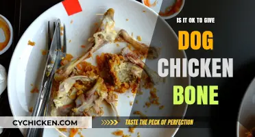 Chicken Bones and Dogs: Safe or Dangerous for Your Pet?