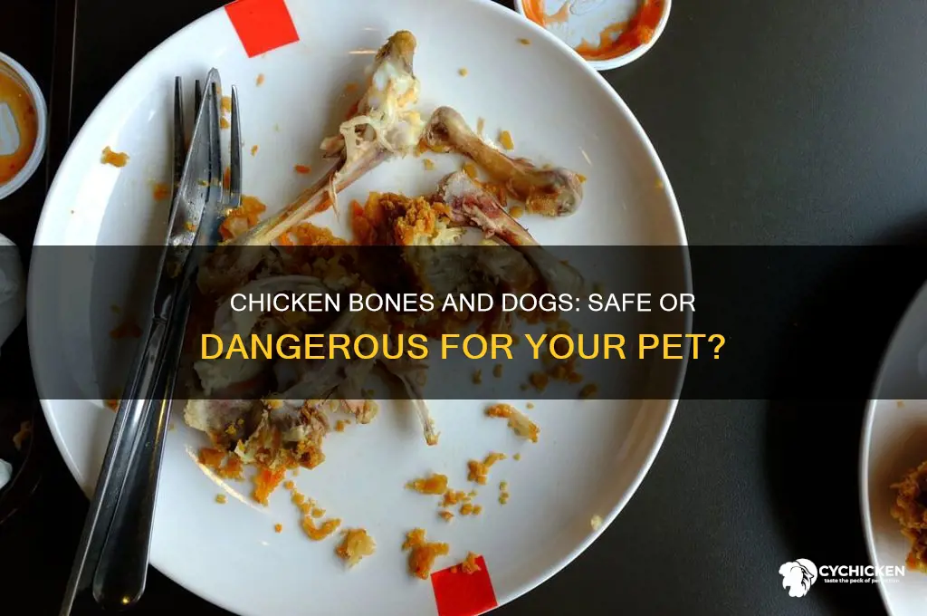 is it ok to give dog chicken bone