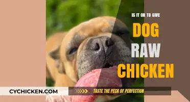 Raw Chicken for Dogs: Safe Feeding Practices and Potential Risks
