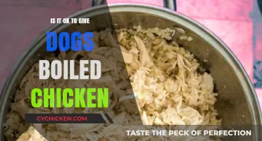 Is Boiled Chicken Safe for Dogs? A Complete Guide