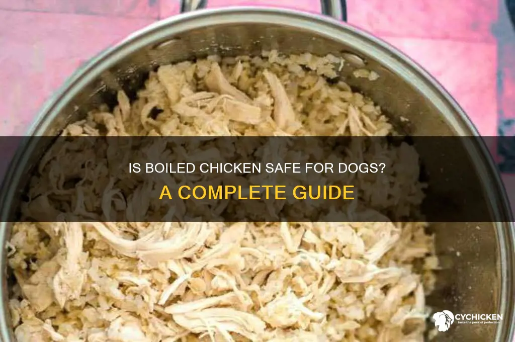 is it ok to give dogs boiled chicken