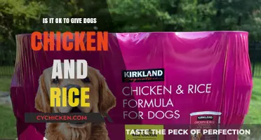 Chicken and Rice: A Healthy Diet for Dogs?