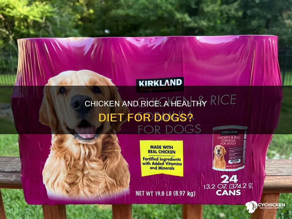 is it ok to give dogs chicken and rice