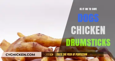 Can Dogs Safely Enjoy Chicken Drumsticks? A Pet Owner's Guide
