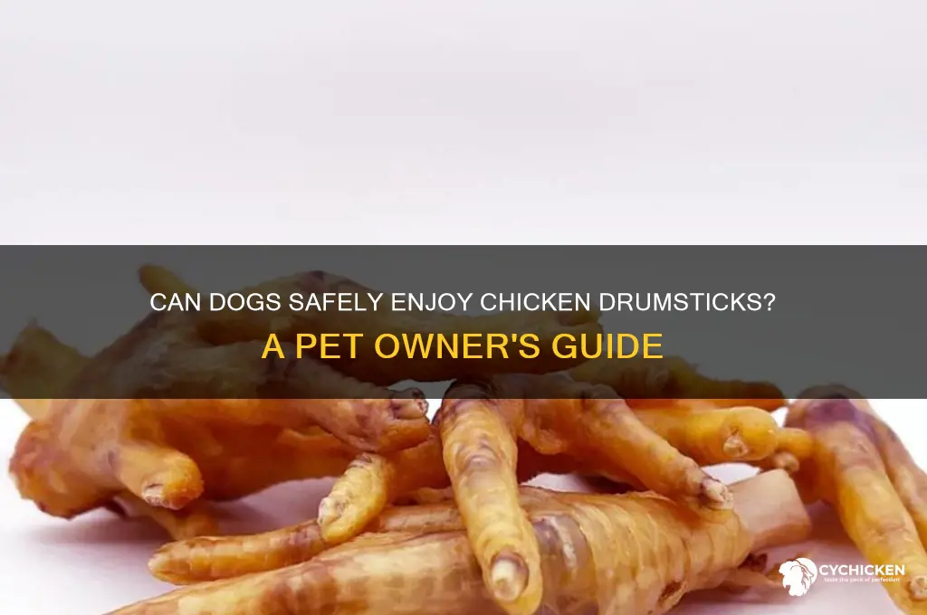 is it ok to give dogs chicken drumsticks