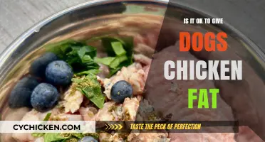 Is Chicken Fat Safe for Dogs? A Complete Nutritional Guide