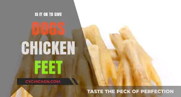 Can Dogs Safely Eat Chicken Feet? A Complete Nutritional Guide