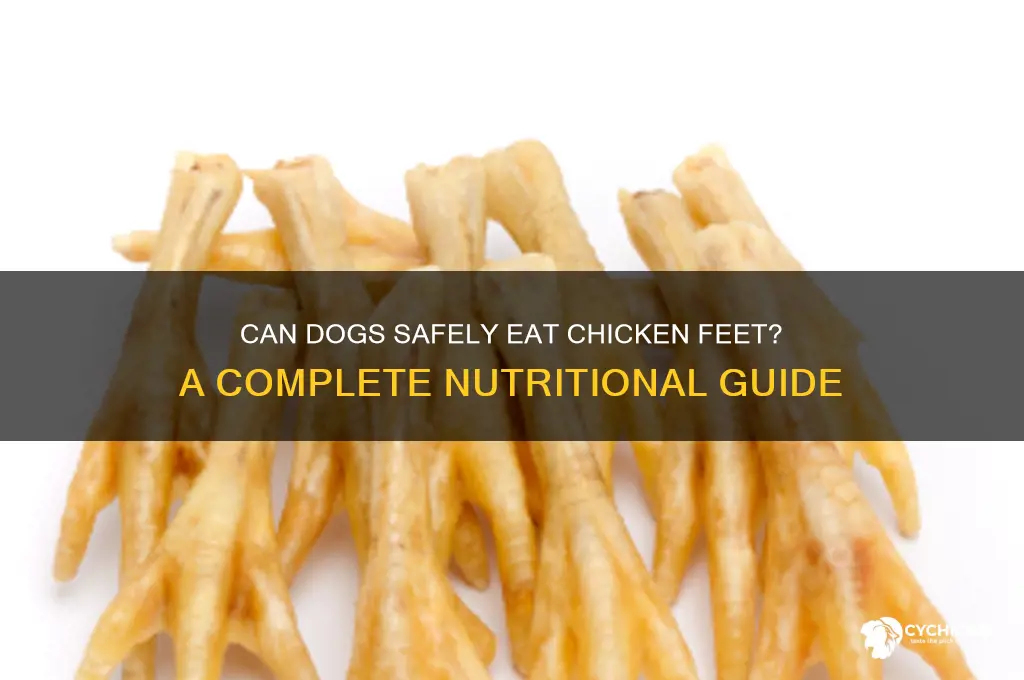 is it ok to give dogs chicken feet