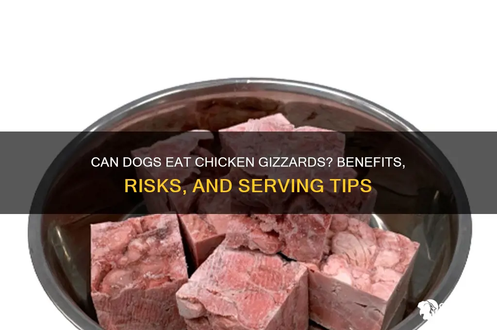 is it ok to give dogs chicken gizzards