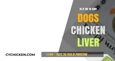 Can Dogs Eat Chicken Liver? Benefits, Risks, and Serving Tips