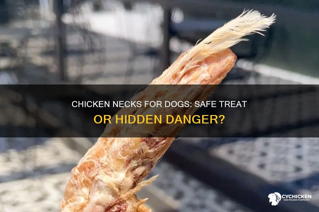 is it ok to give dogs chicken necks