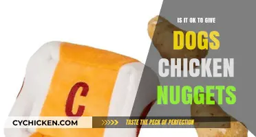 Can Dogs Eat Chicken Nuggets? A Vet's Advice on Safety