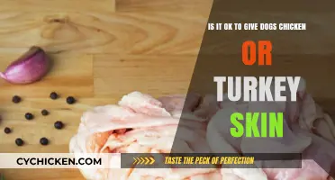 Feeding Fido: Chicken or Turkey Skin?