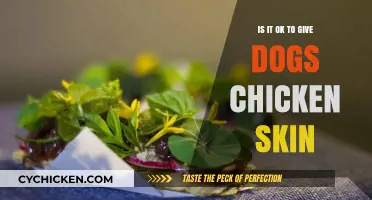 Can Dogs Eat Chicken Skin? Safety Tips and Nutritional Insights