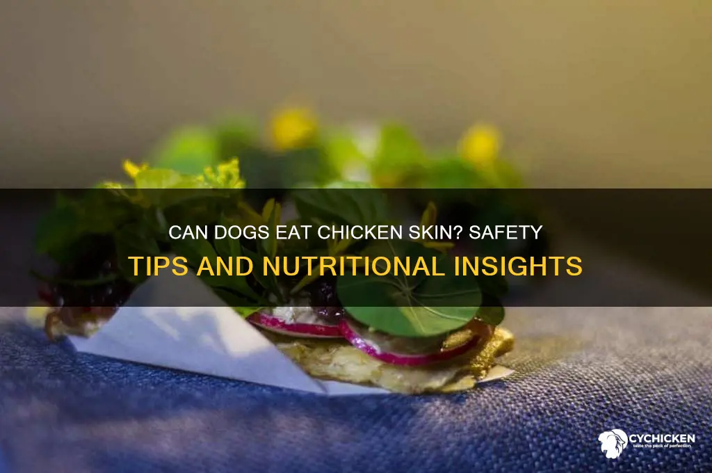 is it ok to give dogs chicken skin