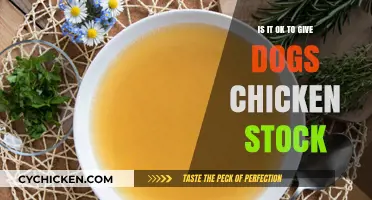 Can Dogs Safely Enjoy Chicken Stock? A Pet Owner's Guide