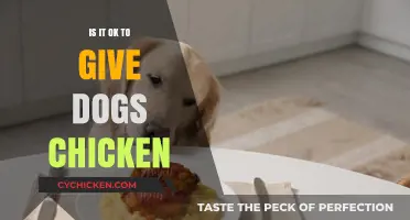 Can Dogs Eat Chicken? A Safe and Healthy Diet Guide