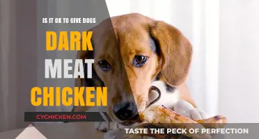 Can Dogs Eat Dark Meat Chicken?