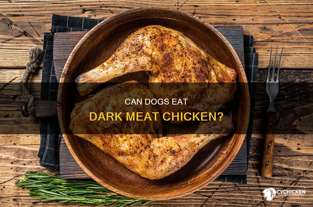 is it ok to give dogs dark meat chicken