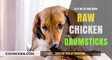 Raw Chicken for Dogs: Safe or Not?