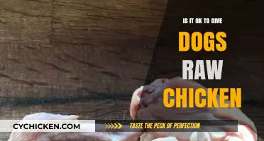 Raw Chicken for Dogs: Safe or Risky Feeding Practice?