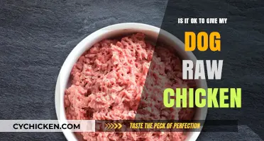 Raw Chicken for Dogs: Safe or Not?