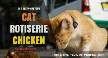 Can Cats Eat Rotisserie Chicken?