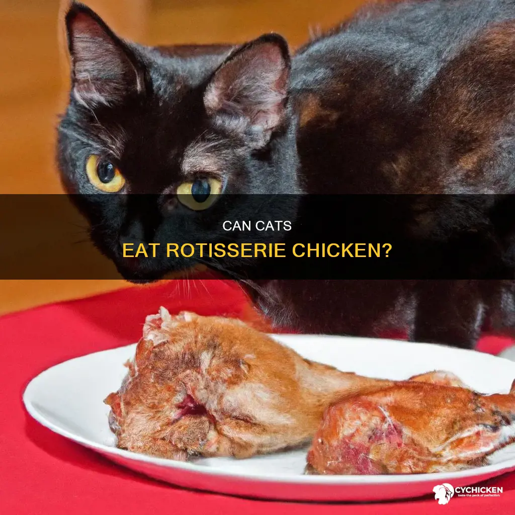 is it ok to give your cat rotiserie chicken