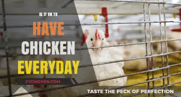 Daily Chicken Consumption: Healthy Habit or Hidden Health Risk?
