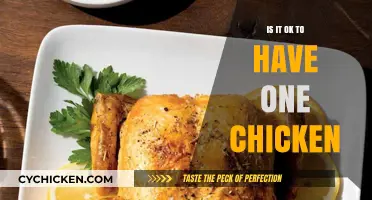 Is Keeping a Single Chicken Ethical or Practical? Expert Insights