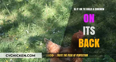 Handling Chickens: Upside Down or Right Side Up?