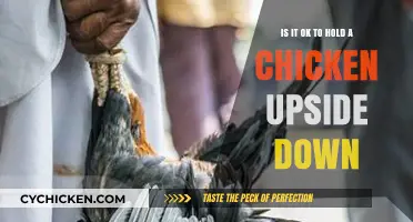 Handling Chickens: Upside Down?