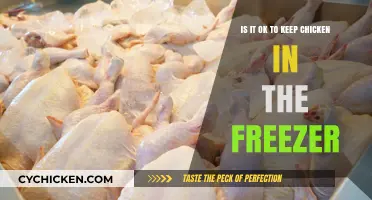 Freezer-Friendly Chicken: How Long Can You Store It?