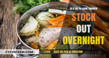 Leaving Chicken Stock Out: Safe or Not?