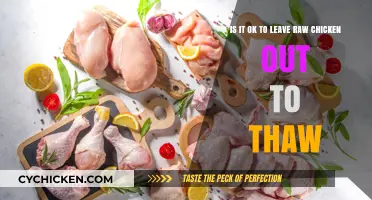 Leaving Raw Chicken Out: Safe or Not?