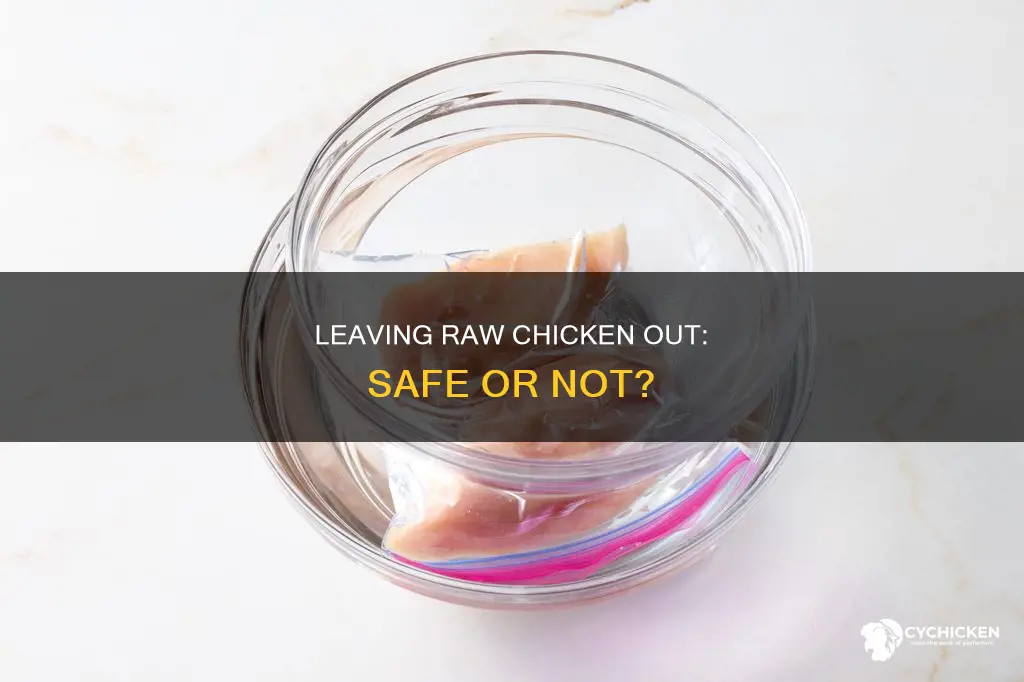 is it ok to leave raw chicken out to thaw