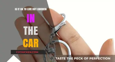 Hot Chicken in the Car: Safe or Not?