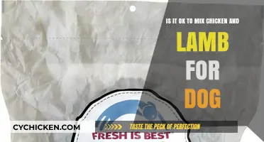 Combining Chicken and Lamb for Dogs: Safe or Not?