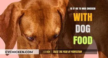 Combining Chicken and Dog Food: Safe or Not?