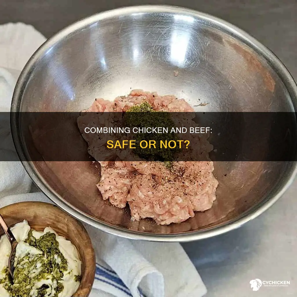 is it ok to mix raw chicken and beef