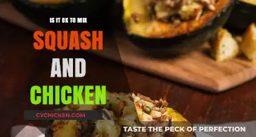 Mixing Squash and Chicken: A Culinary Adventure or a No-Go?